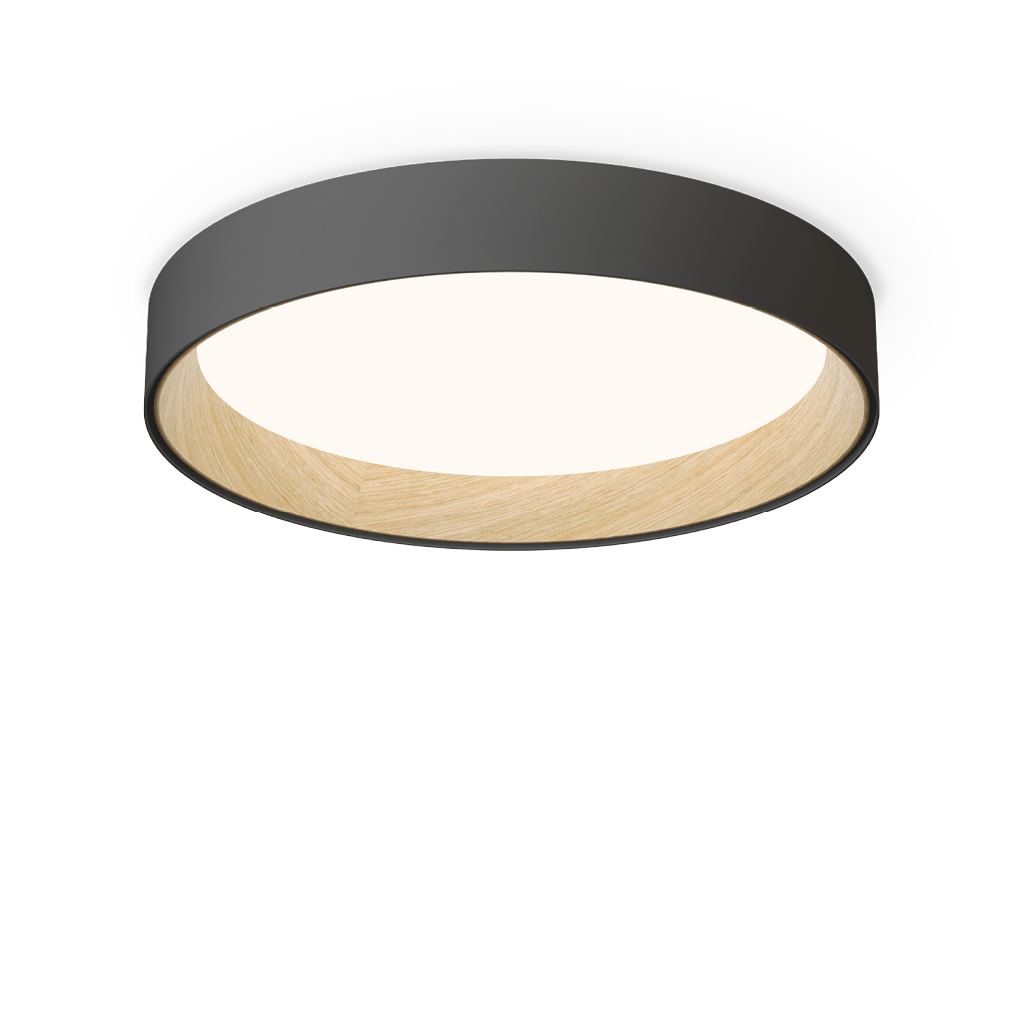 [VIB-487218/1A] Duo,Ceiling,18 Graphite,2700K,PUSH 1-10V DALI