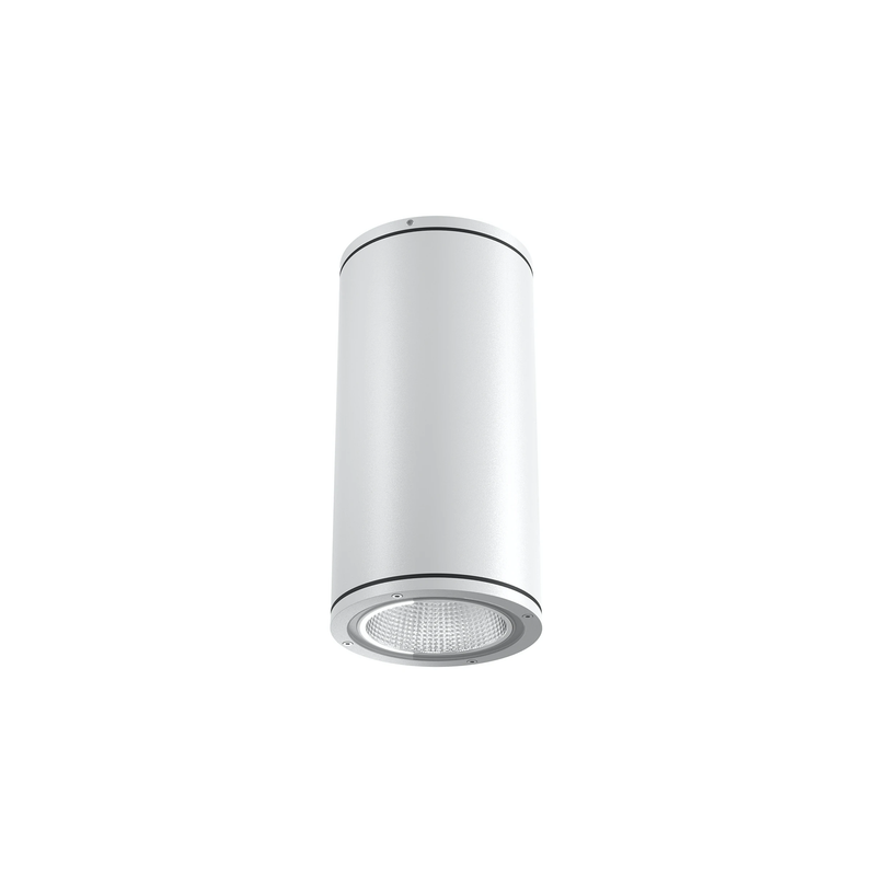 [FLO-FA53124401] EMMA CEILING 2