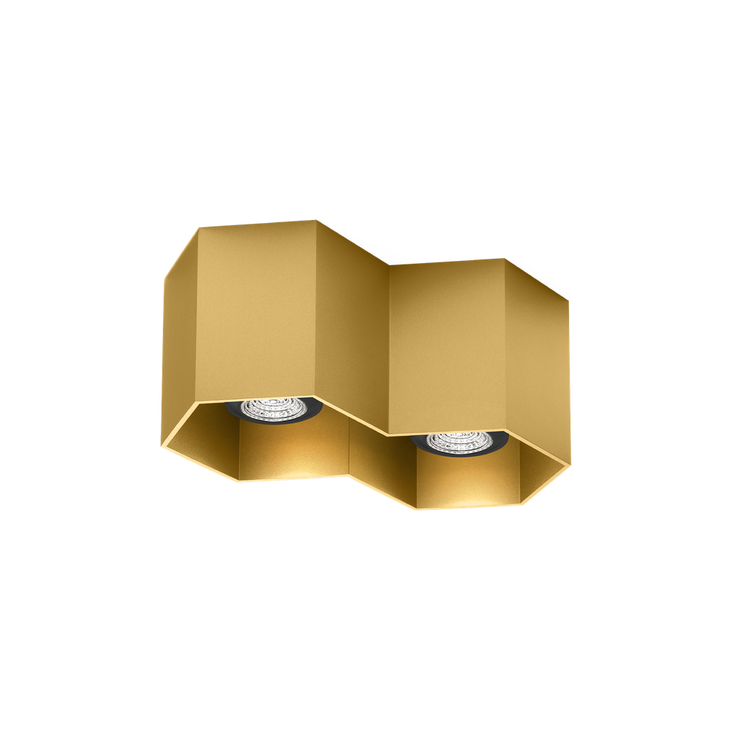 [WND-146620G0] HEXO CEILING SURF 2.0 PAR16 G