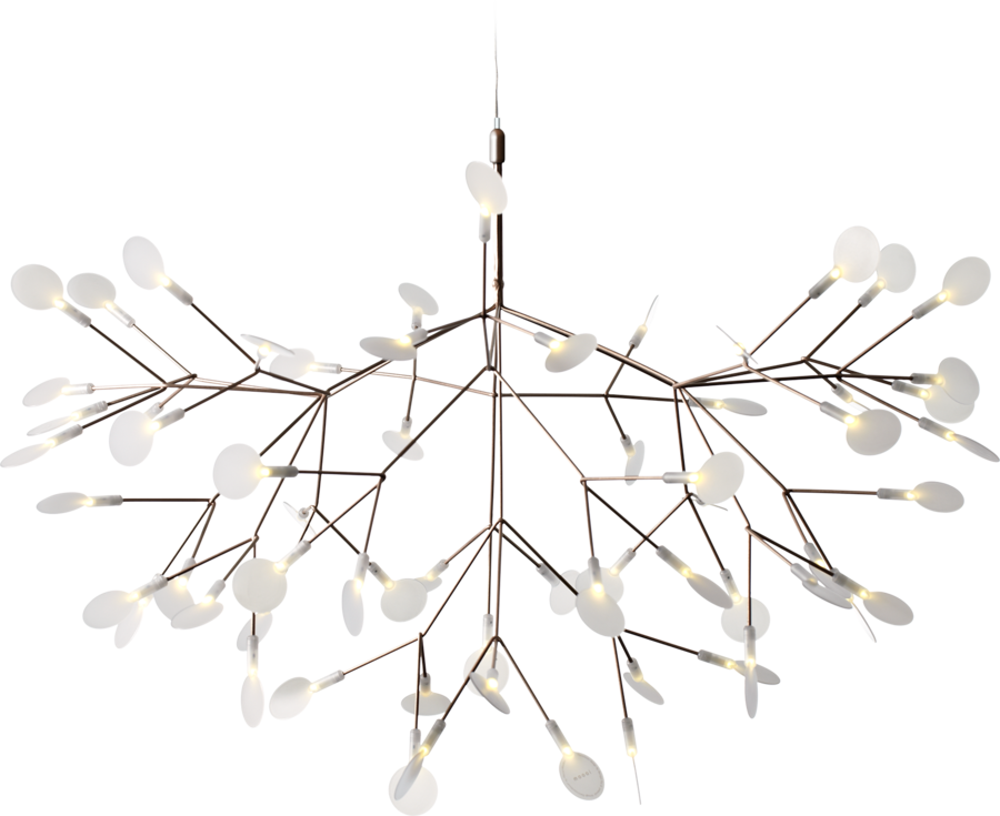 [MOO-8718282296104] Heracleum II, copper