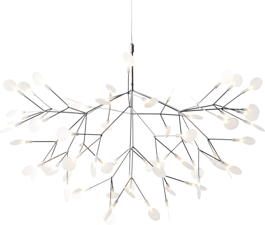 [MOO-8718282296210] Heracleum II, nickel