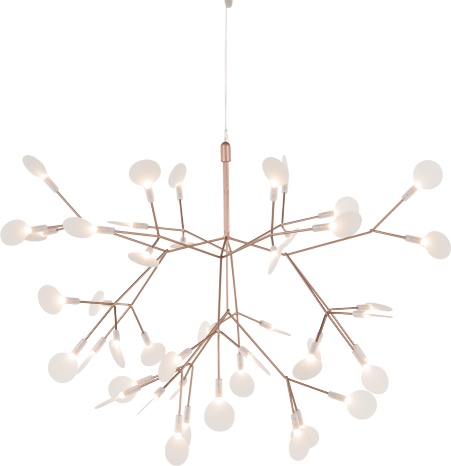 Heracleum Small II, copper