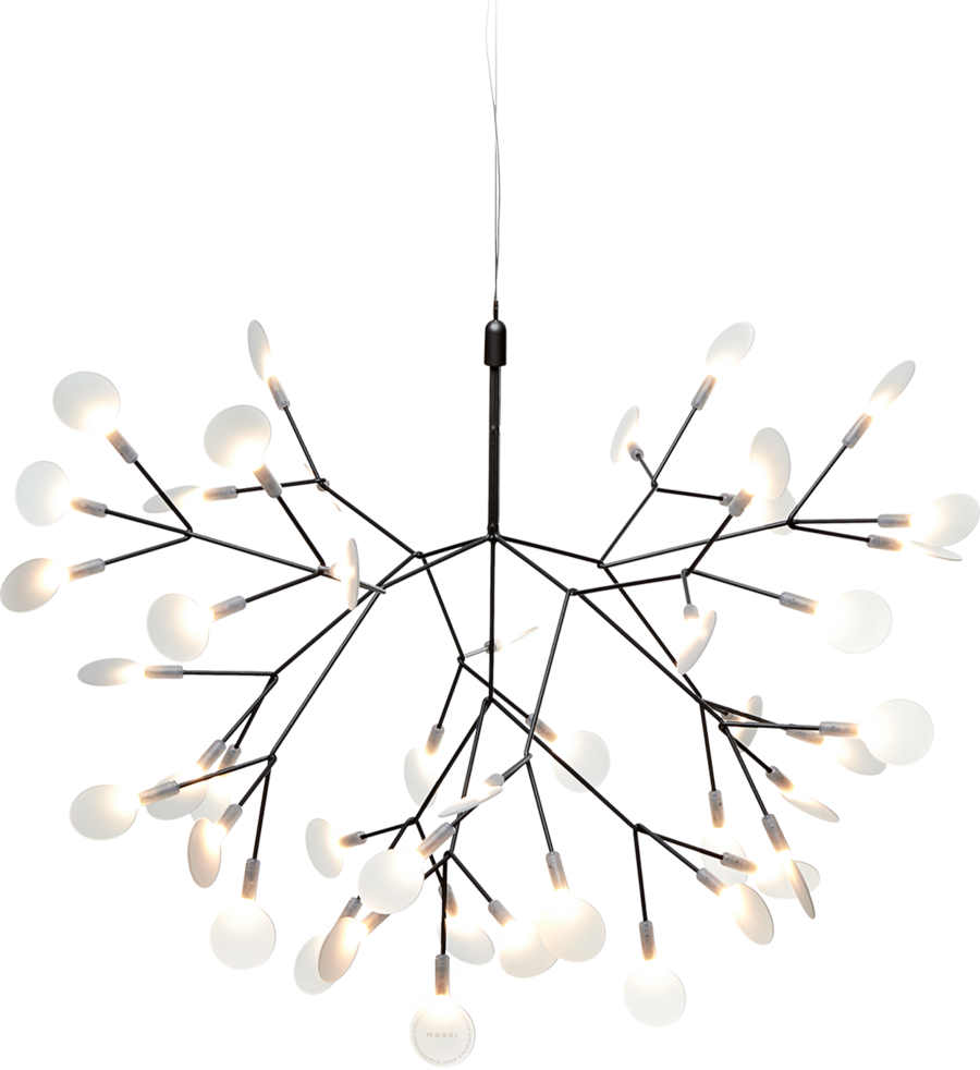 [MOO-8718282296289] Heracleum Small II, nickel