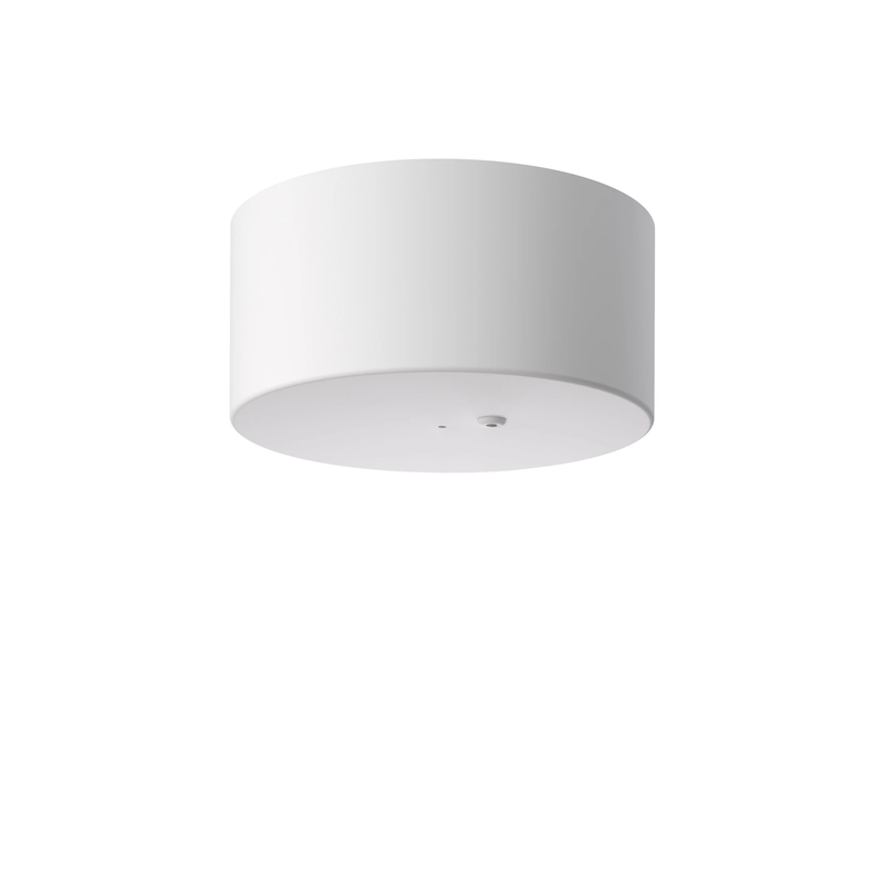 [FLO-F1908009] MY DISC EU ROSE MT WHT