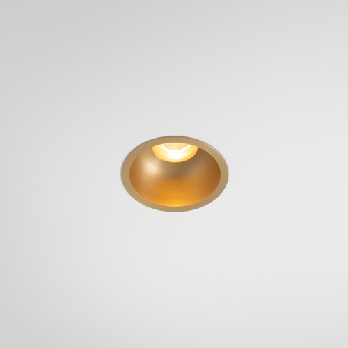 Minude Recessed 56 1x IP54 LED 2700K Medium DE Champagne Brushed Anodised