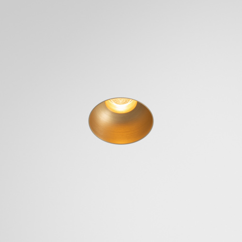 Minude Recessed Trimless 49 1x IP54 LED 2700K Medium DE Champagne Brushed Anodised