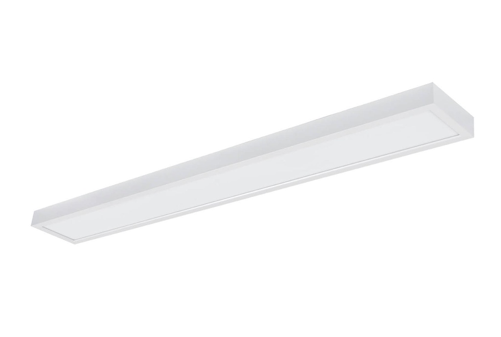 Moon 1200 CCT wit