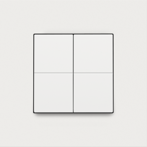 NIKO DIMSCHAKELAAR VOOR HET HUE SYSTEEM