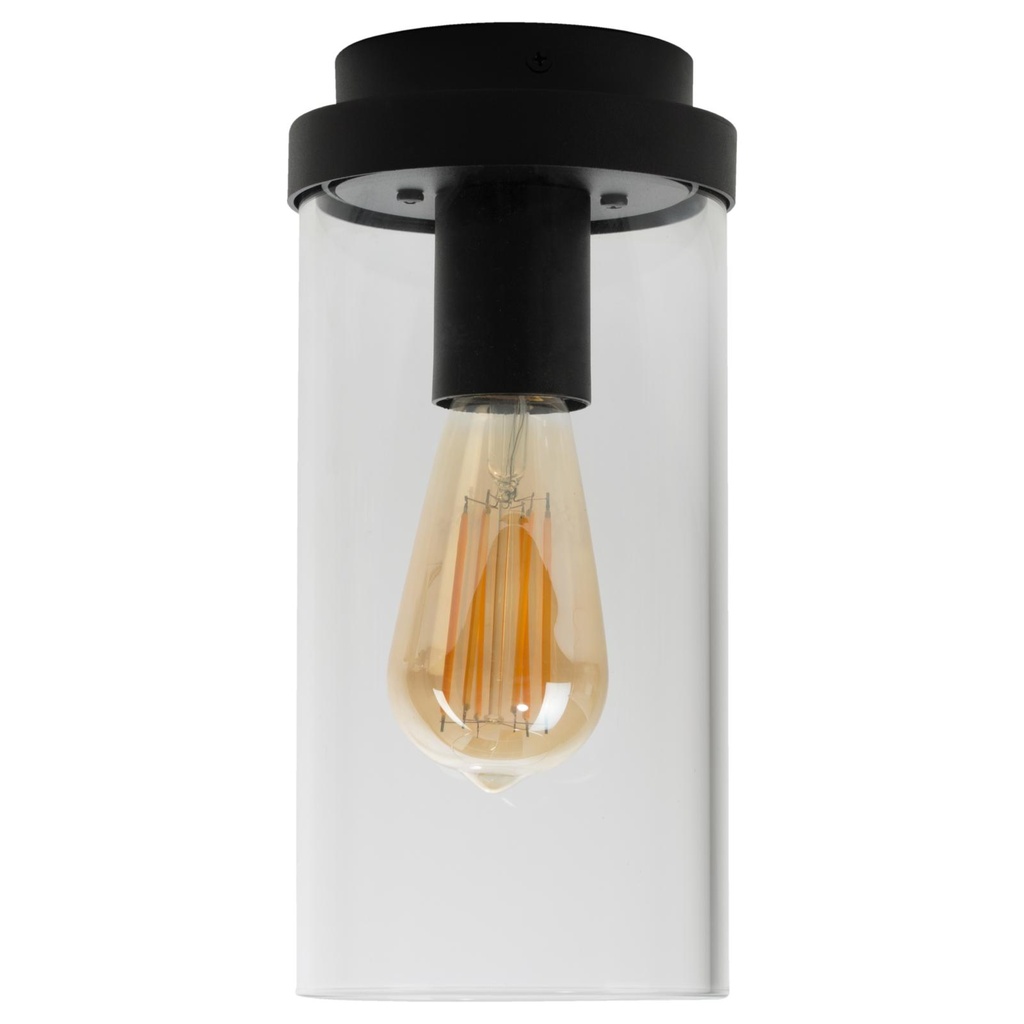 POLINA opbouw plafondverlichting - rond - vast - glas H250 zwart textuur