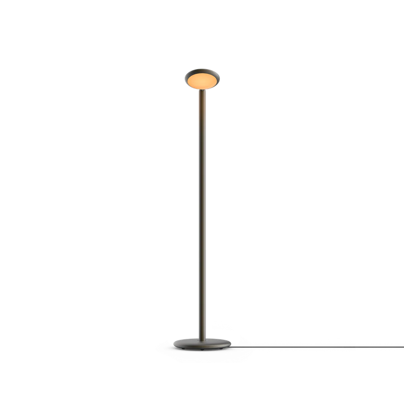 Parrot Floor Black Brass