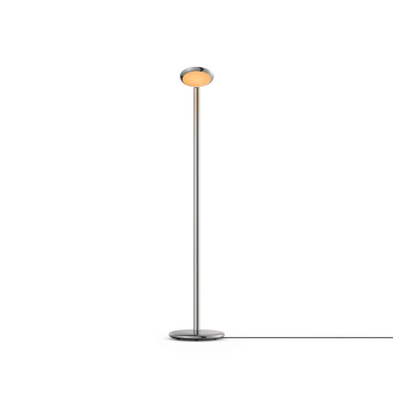 [GRA-PAF1-99] Parrot Floor Polished