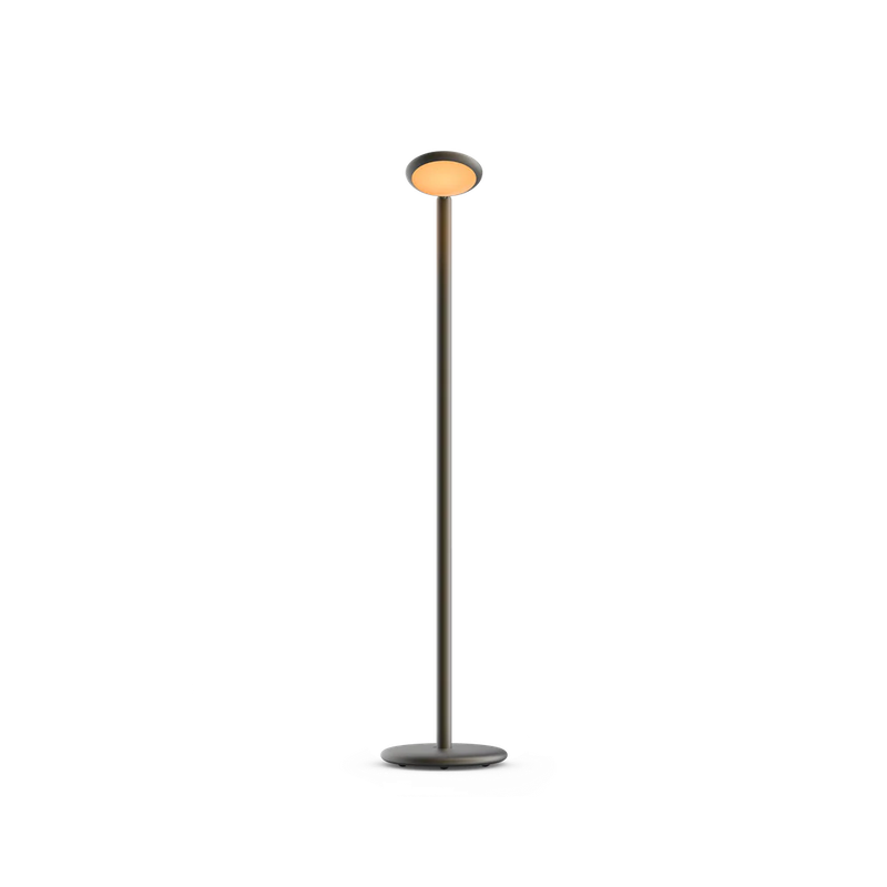Parrot Floor Portable Black Brass