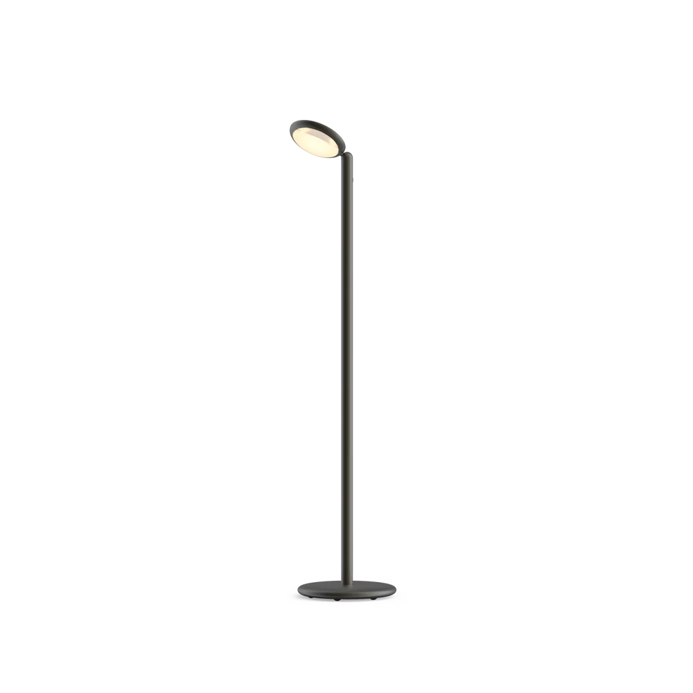 Parrot Floor Portable Black Brass