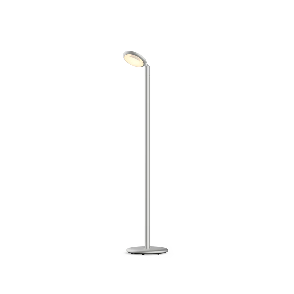 Parrot Floor Portable