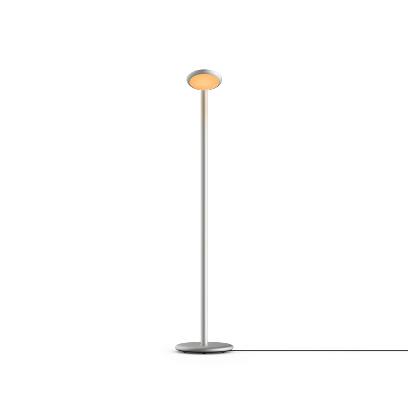 [GRA-PAF1-60] Parrot Floor Silver