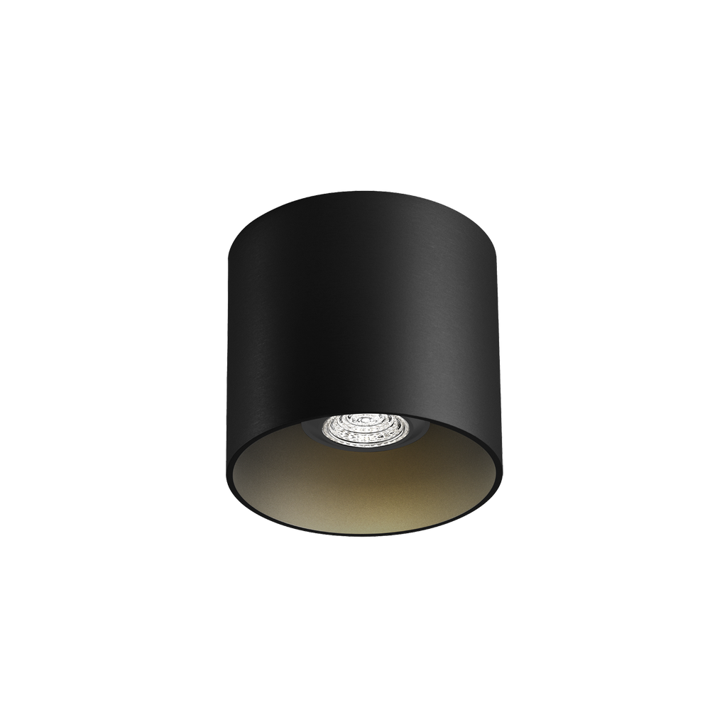 RAY CEILING SURF 1.0 PAR16 B