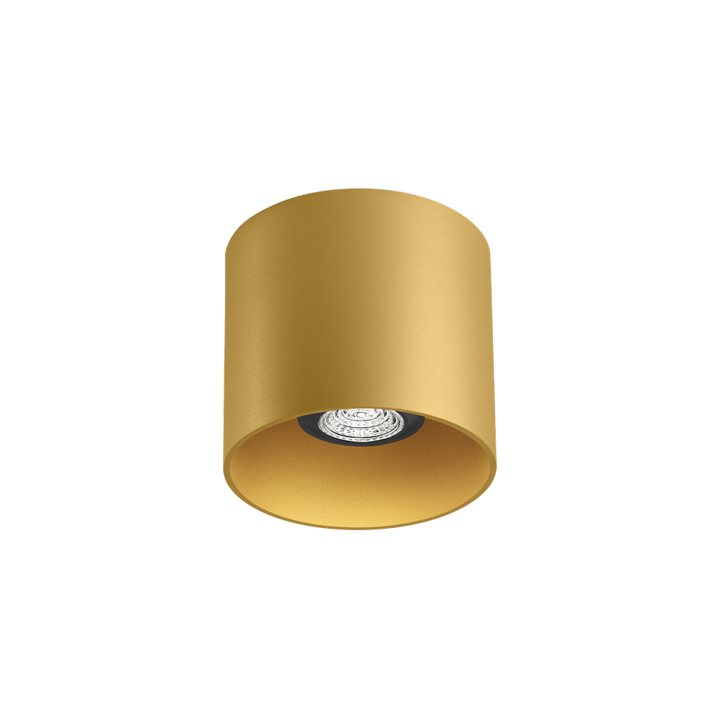 [WND-146720G0] RAY CEILING SURF 1.0 PAR16 G