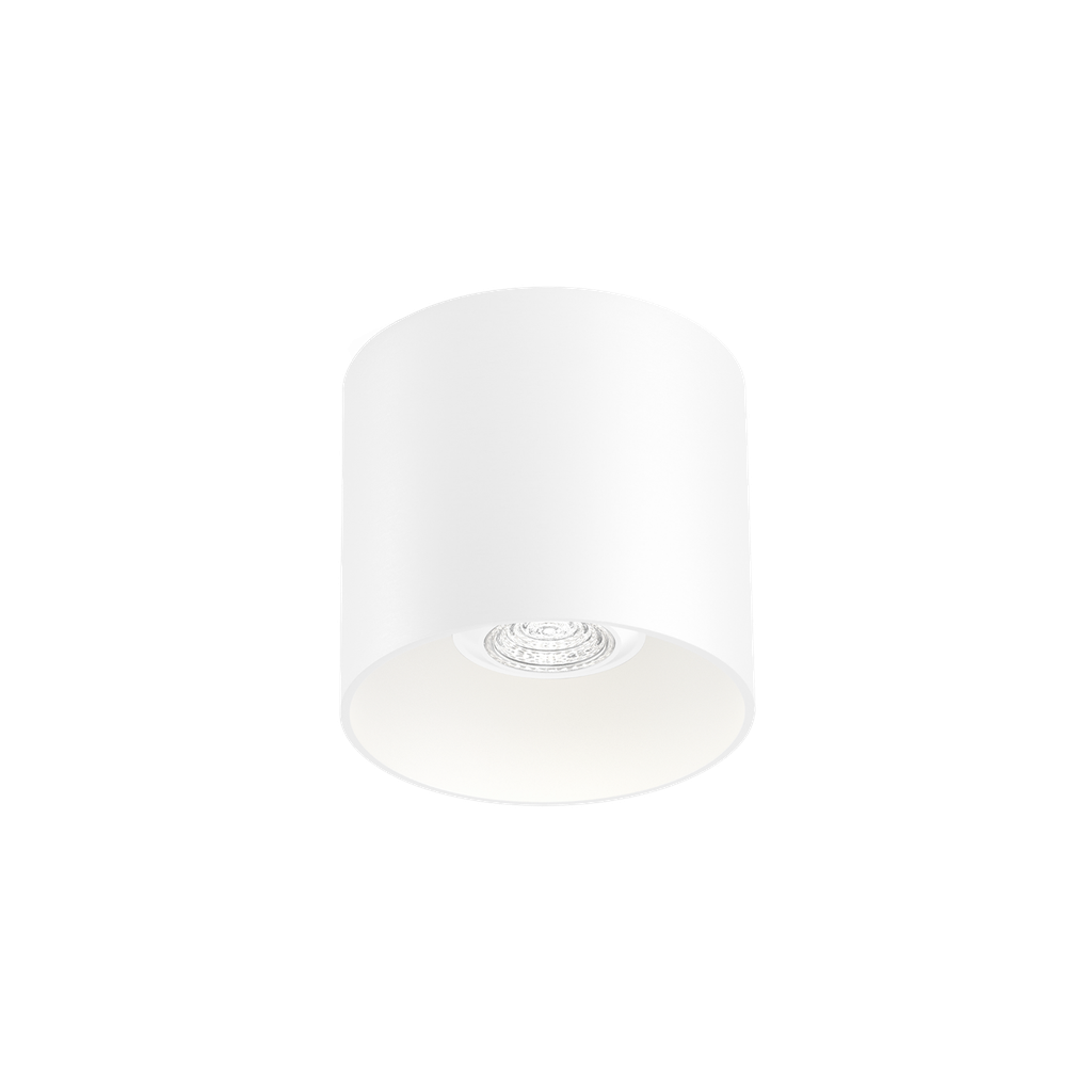 [WND-146720W0] RAY CEILING SURF 1.0 PAR16 W