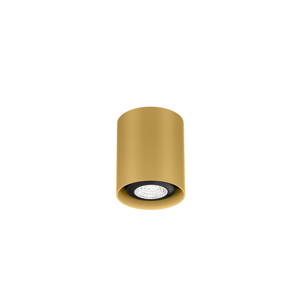 [WND-258220G0] RAY MINI CEILING SURF 1.0 PAR16 G