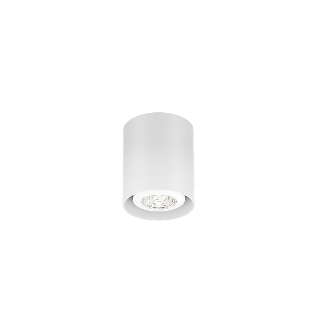 [WND-258220W0] RAY MINI CEILING SURF 1.0 PAR16 W
