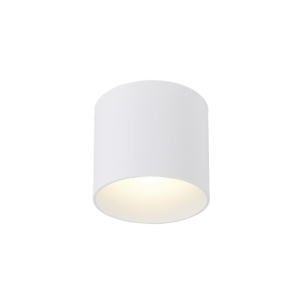 [WND-735458W5] RAY OUTDOOR CEILING SURF 1.0 LED 3000K W