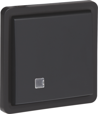 SPUITWATERDICHTE 2-POL. CONTROLESCHAKELAAR 10A, SCHROEF, EXC. LED