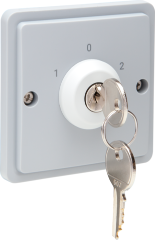 [NIK-700-38700] SPUITWATERDICHTE SLEUTELSCHAKELAAR 10A, SCHROEFKLEMMEN