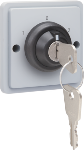 SPUITWATERDICHTE SLEUTELSCHAKELAAR 16A, SCHROEFKLEMMEN