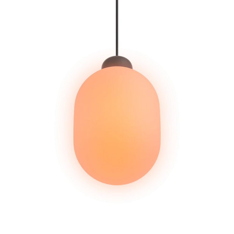 Sun In Black inkl. GRAU App