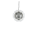 Taraxacum 88 S1 W/Bulbs