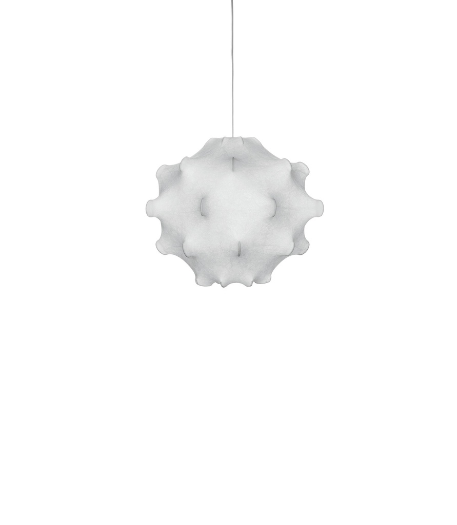 TARAXACUM S1 COCOON EU/CCC/IR