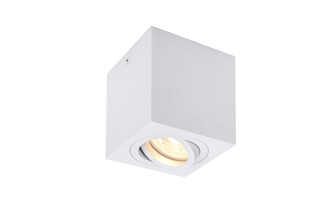 TRILEDO Single, indoor plafondarmatuur, QPAR51, wit, max. 10W