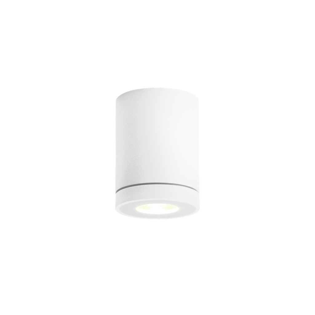 [WND-734120W0] TUBE OUTDOOR CEILING SURF 1.0 PAR16 W