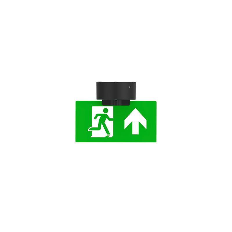 [LNG-L9999-N-4] VIALED ROUND PLEXI 205x105 NOODUITGANG ZWART