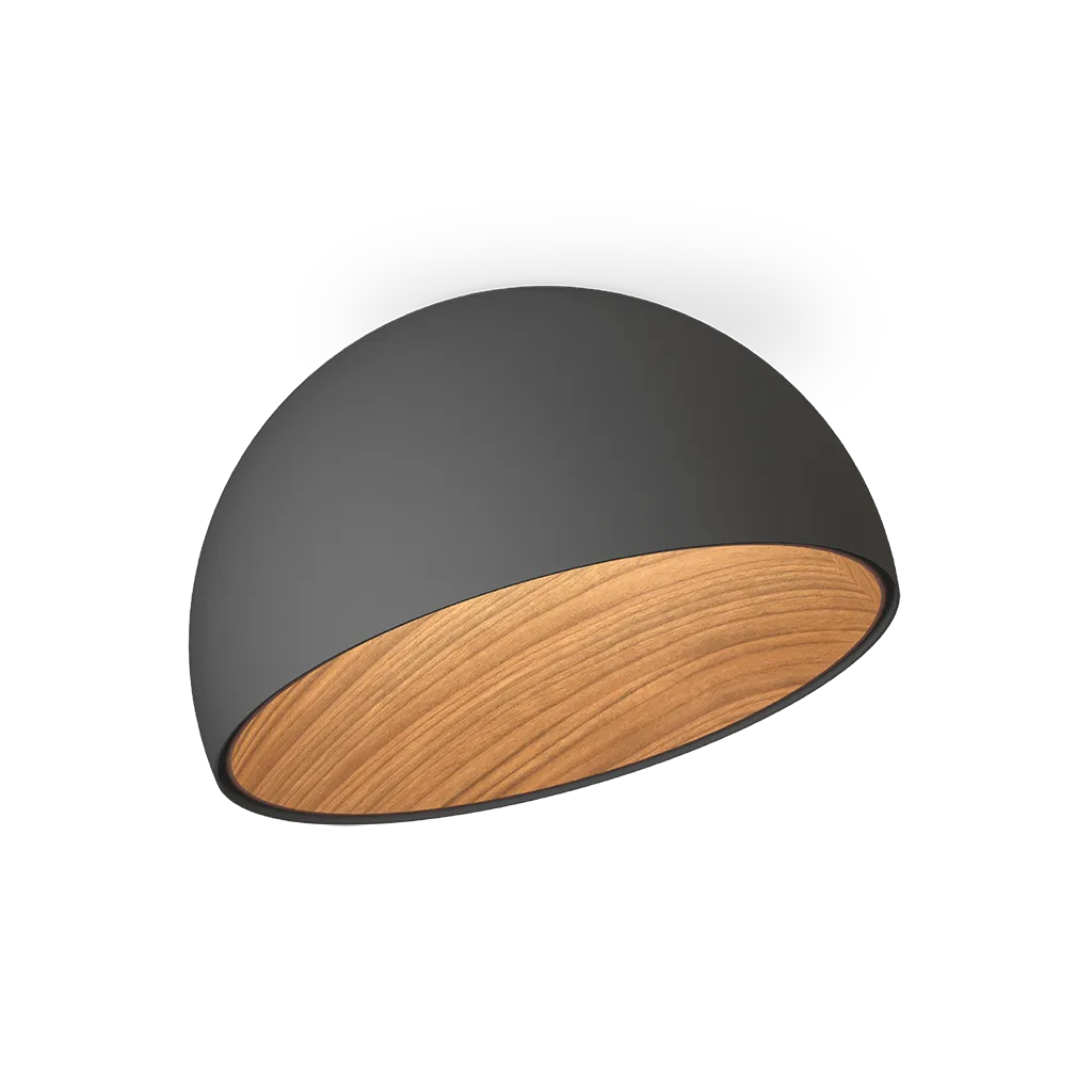 [VIB-488718/1A] Duo,Ceiling, Graphite,2700K,PUSH 1-10V DALI