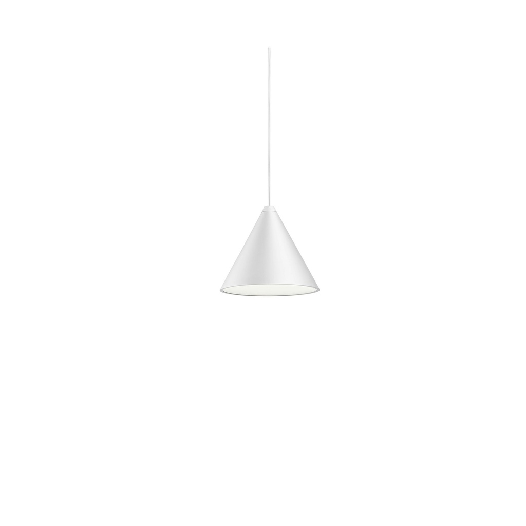 String Light Cone 12m