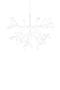 Heracleum III Suspended Small